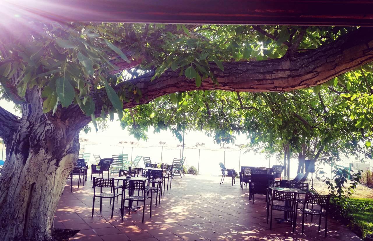Apartmani Alex Beach Dojran Εξωτερικό φωτογραφία